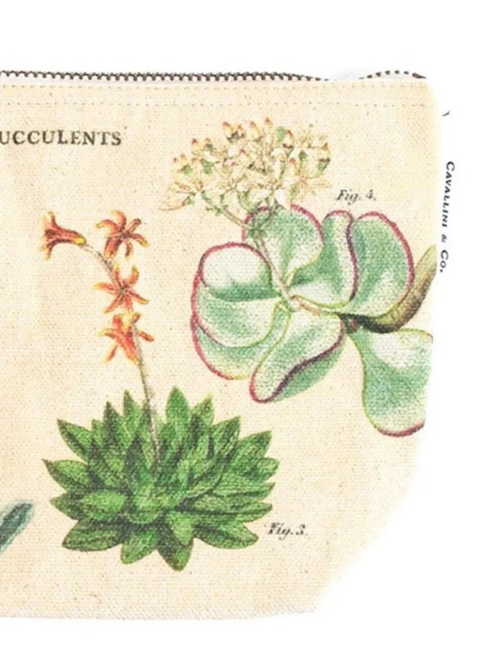 Cavallini & Co Cacti & Succulents natural ivory green vintage pouch 100% cotton